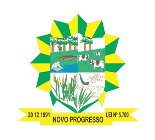 Prefeitura de Novo Progresso-PA publica processo seletivo com 430 vagas